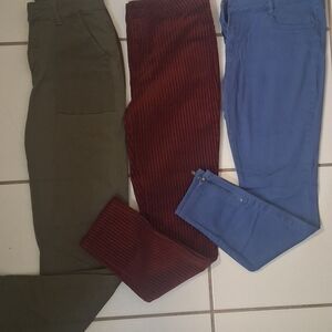 Women's Skinny Pants - Olive, Burgundy, and Blue